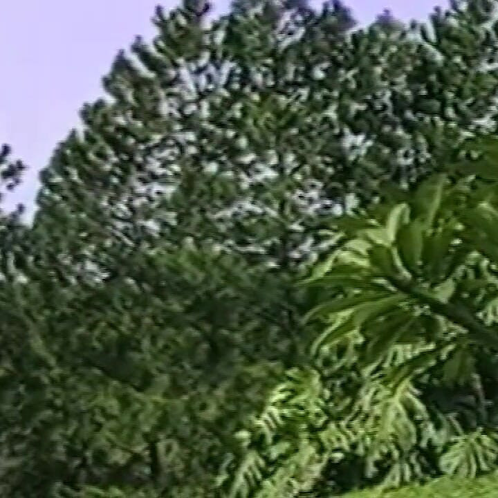Throat Bulging Deepthroat and Gaping Anal Group Fuck