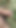 All Nude Boy Masturbating in Sugarcane field