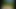 Neon green