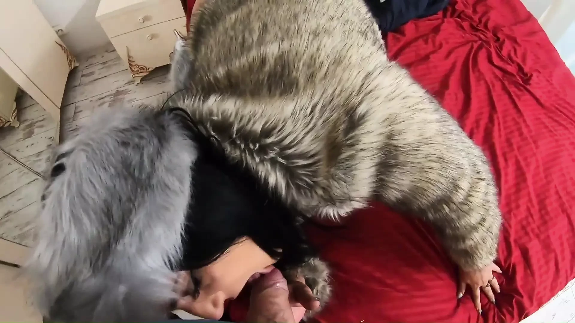 Milfycalla Compilation - Fetish Sex, Blow-jobs and Rough Sex While Wearing Sexy Fur Coats -3-