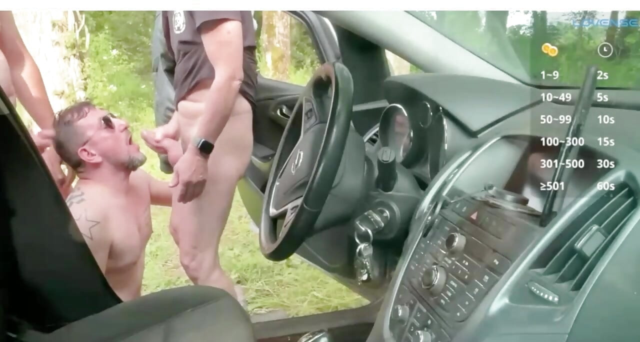 Beste tagsüber auto-begegnung aller zeiten