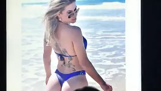 Cum haraç cacau colucci
