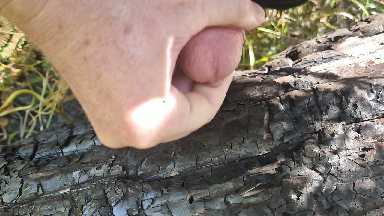so much delicious sperm - jerking off on burnt tree
