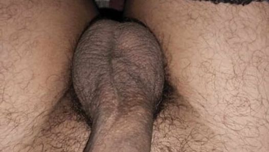 Huge Cock Big Balls Alone Home Student Masterbating Cumshot  Video