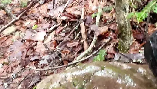 pussy pissing  water on the rock