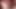 PHV_Milking.V.2