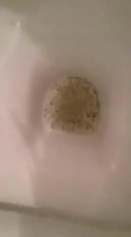analcreampie adoro