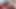 Domming My Cute Trans GF and Jacking off on Her Face!