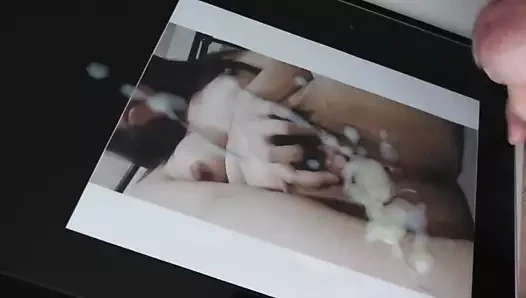 kedi kremsi