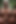 Ai Generated Porn Gorgeous Shemales Orgasm.