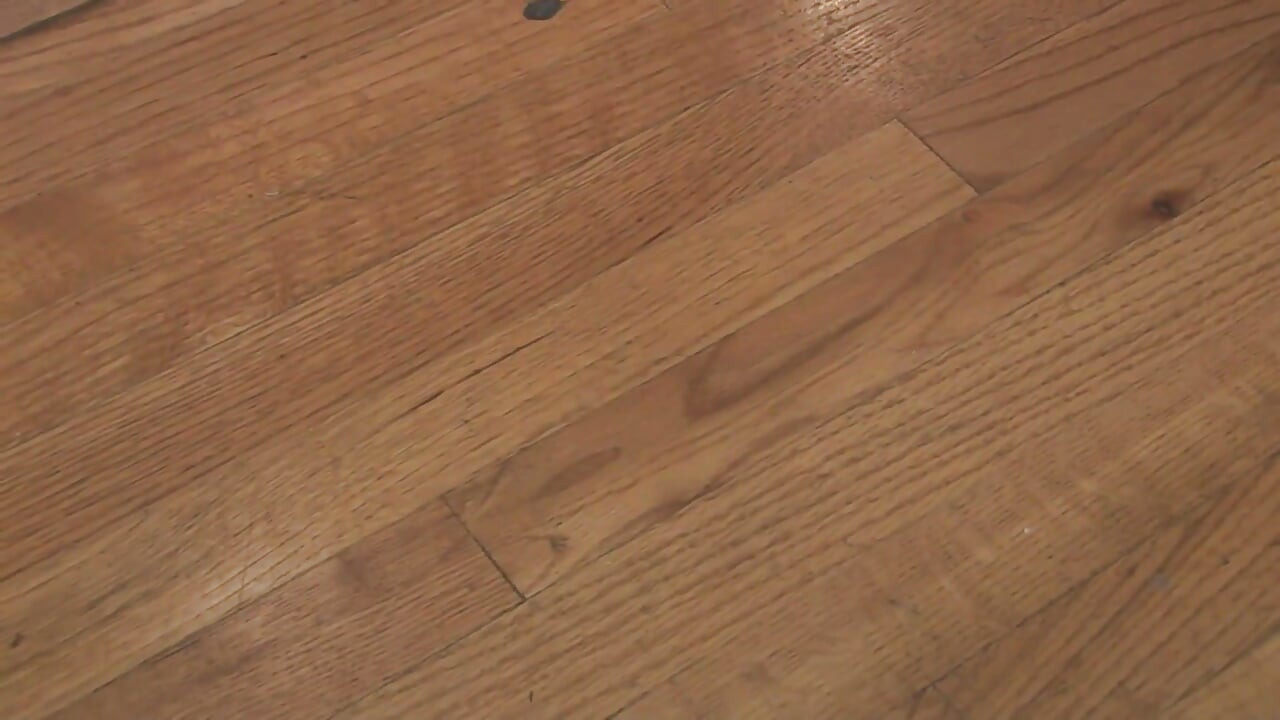 Gadis kulit hitam dientot di sofa