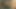 JAPON KıZ SIKIŞIRKEN INLIYOR