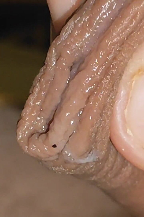 Amazing Close up Hole Drooling Pre Cum Intensely.