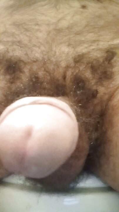 I dream of a gentle man...