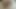 My biggest cumshots from 2022. Nailed on the floor and sprayed on my stomach. The belly cumshot.