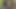 You're Going to Cum in My Mouth Before You Have It Hard - Spanish MILF