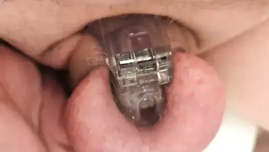 Piss while locked in HT Nub chastity cage
