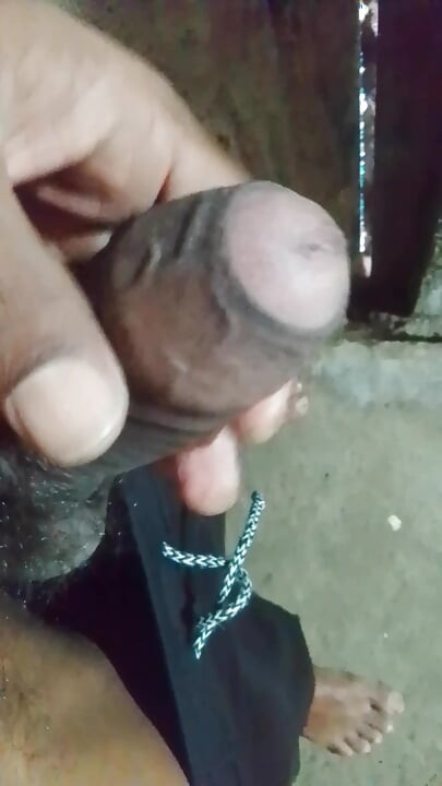 Goyangin kontolku