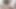 Japon web kamerası