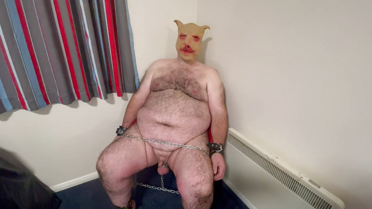 Domina Satana dicukur semasa melihat piggy!