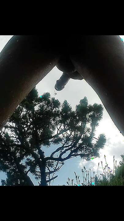Ring My Bell