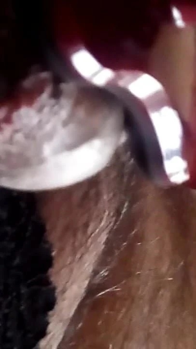 Milky cum