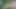 Solo long haired brunette Ara Mix plays with a big dildo,in VR.