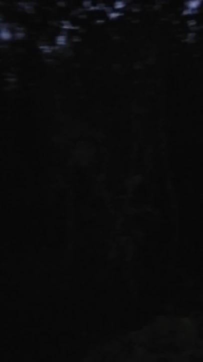 Hot sex in the forest in India