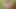 INDIAN TEEN BOY ASS FUCKING WITH BIG CUCUMBER HARDCORE MASTURBATION AT FOREST