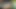My Stepsister Got so Horny That She Squirted and I Filled Her Ass and Pussy with Cum