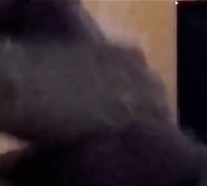 Asian Girl Secretly Sucking Her Half-stepbrother's Cock While Everyone Nearby-and She Even Swallowed the Cum.