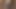 jelissa sucking bbc
