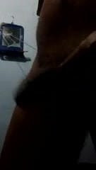 Dancing cock