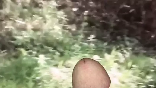 kamu çıplaklığı