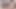 Cosplay wear Masturbation, Nanakusa Nazuna Asian Femboy