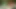 Hot big cock guys fucking their asses with a lot cumshot