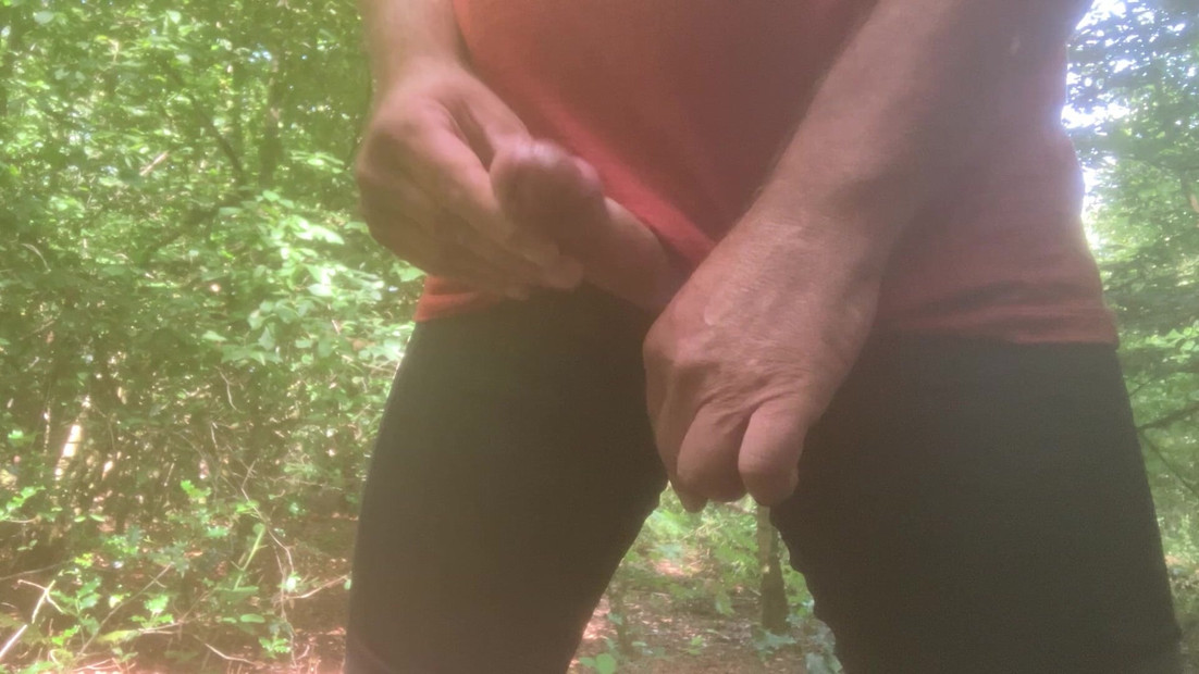 Spraying in the forest