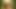 Solo Masturbation with Big Dildo Outdoors in the Forest