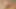 Handsome well built Japanese makes erotic pictures for casting