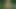 Pissing while hiking
