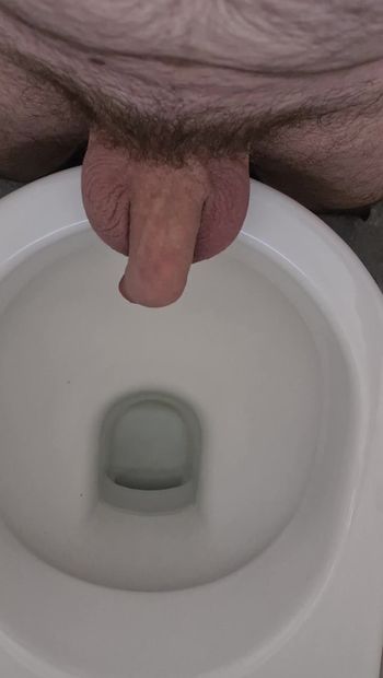 Наказание члена в туалете
