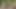 Ateşli karımı götten yağlı götten ve büyük yarağımdan sikiyorum