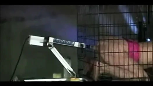 Gang bang robotique en cage