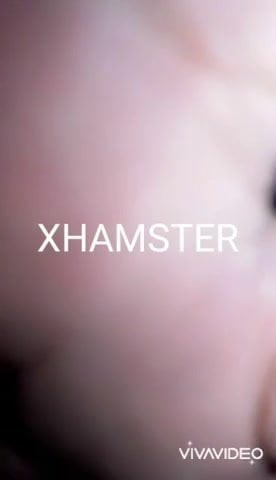 रसदार बिल्ली चाट और कमबख्त