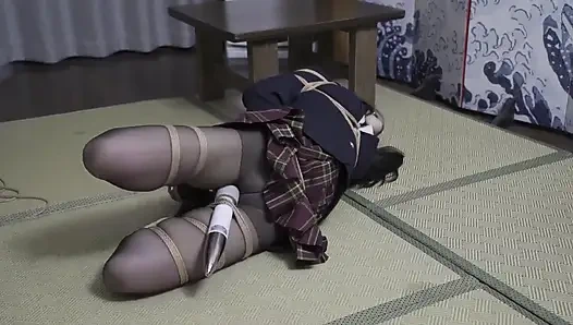 Using a Vibrator to Bring a Girl to Orgasm