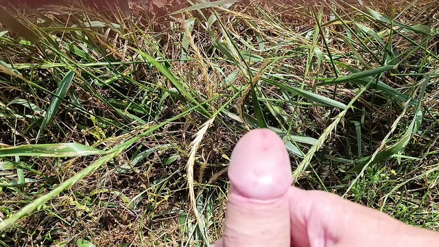 Jerking off in the field