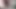 Closeup FTM masturbate and cum