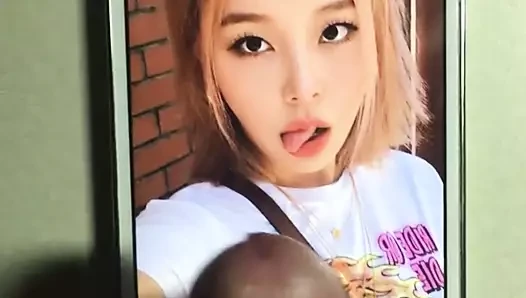 Bayanlar kodu ashley cum haraç