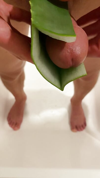 Homemade Aloe Vera Vagina POV