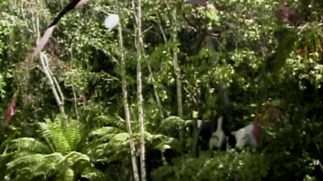 dunkle Lust verliert jede Kontrolle mit jeder Grenze weiter